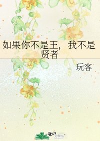 《如果你不是王,我不是贤者》