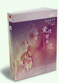 《爱情曾来过(高干)》