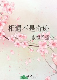 《相遇不是奇迹》