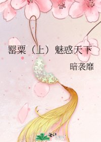 《罂粟(上)魅惑天下》