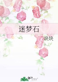 《迷梦石》