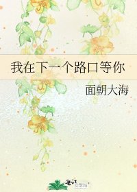 《我在下一个路口等你》