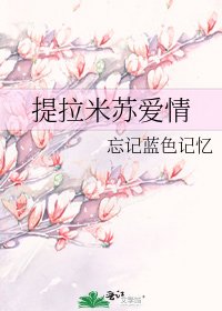 《提拉米苏爱情》