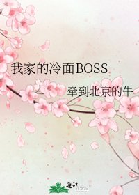 《我家的冷面BOSS》