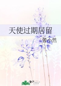 《天使过期居留》