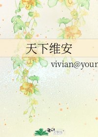 《天下维安》