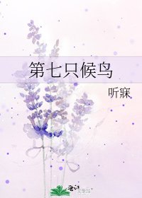 第七只候鸟