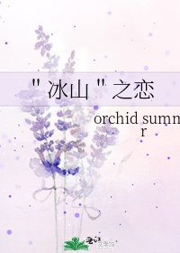 《"冰山"之恋》
