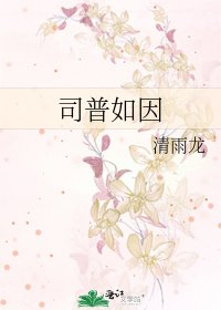 《司普如因》