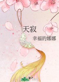 《天寂》