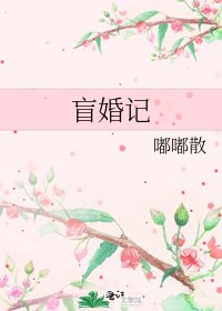 《盲婚记》