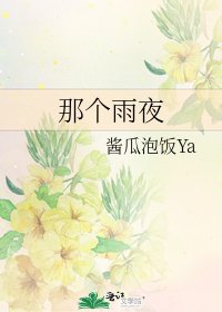 那个雨夜