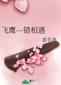 《飞鹰---错相遇》