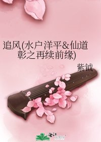 《追风(水户洋平&仙道彰之再续前缘)》
