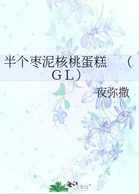 《半个枣泥核桃蛋糕 (GL)》