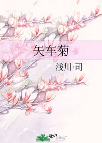 《矢车菊》