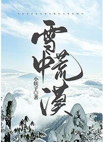 《雪中荒漠》