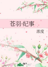 《苍羽·纪事》