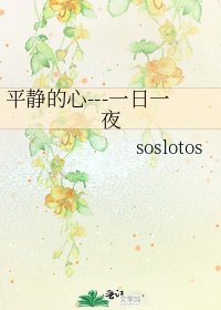 《平静的心---一日一夜》