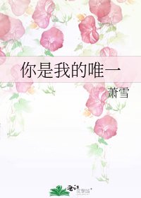 《你是我的唯一》