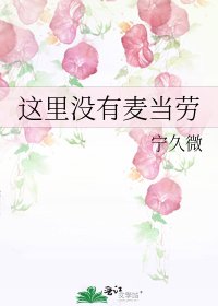 《这里没有麦当劳》