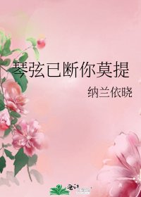 《琴弦已断你莫提》