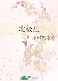 《北极星》