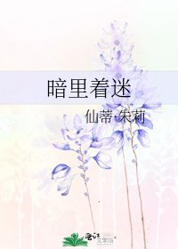 《暗里着迷》