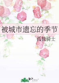 《被城市遗忘的季节》