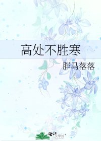 《高处不胜寒》