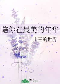 《陪你在最美的年华》