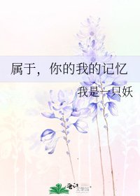 《属于,你的我的记忆》