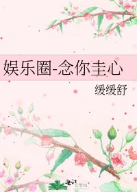 《娱乐圈-念你圭心》