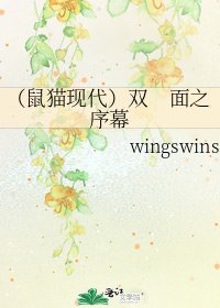 《(鼠猫现代)双 面之序幕》