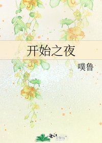 开始之夜