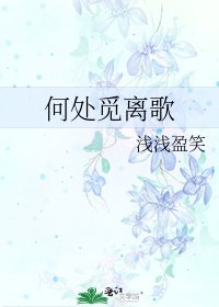 《何处觅离歌》