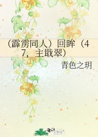 （霹雳同人）回眸（47，主戢翠）