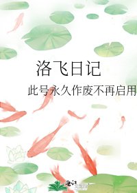 《洛飞日记》
