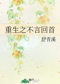 《重生之不言回首》
