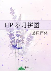 《HP-岁月拼图》