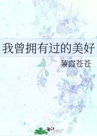 《我曾拥有过的美好》