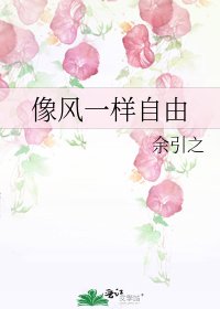 《像风一样自由》