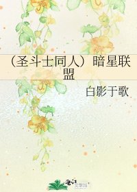 《(圣斗士同人)暗星联盟》