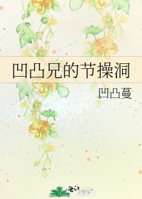 《凹凸兄的节操洞》
