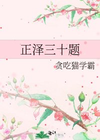 《正泽三十题》