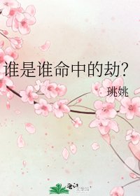 《谁是谁命中的劫?》