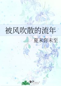 《被风吹散的流年》