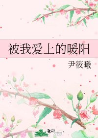 《被我爱上的暖阳》