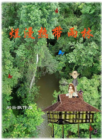 《烂漫热带雨林》