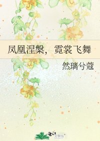 《凤凰涅槃,霓裳飞舞》